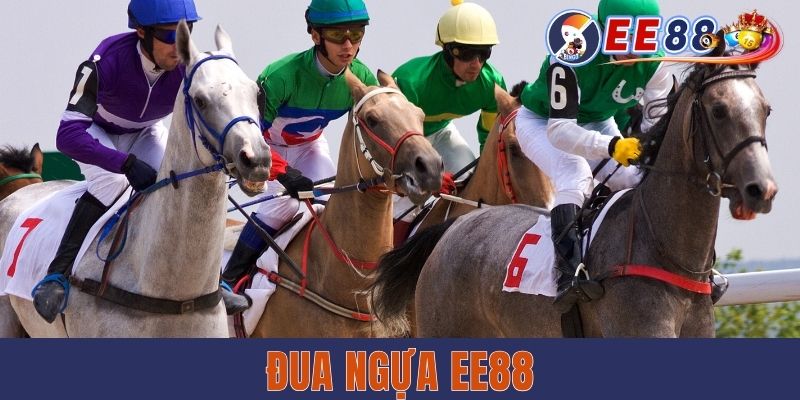 Đua Ngựa EE88 - Bộ Môn Giải Trí Mới Lạ Và Nhiều Hấp Dẫn