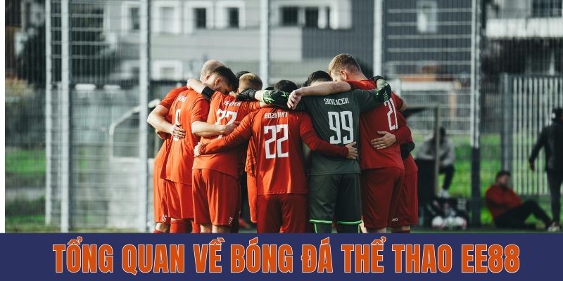Bóng Đá Thể Thao EE88 - Môn Giải Trí Phổ Biến Nhất 2025 2 Tổng quan về bóng đá thể thao EE88