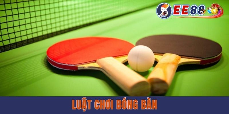 Toàn Tập Luật Chơi Bóng Bàn Chuẩn Chỉ A-Z Cho Newbie Toàn Tập Luật Chơi Bóng Bàn Chuẩn Chỉ A-Z Cho Newbie