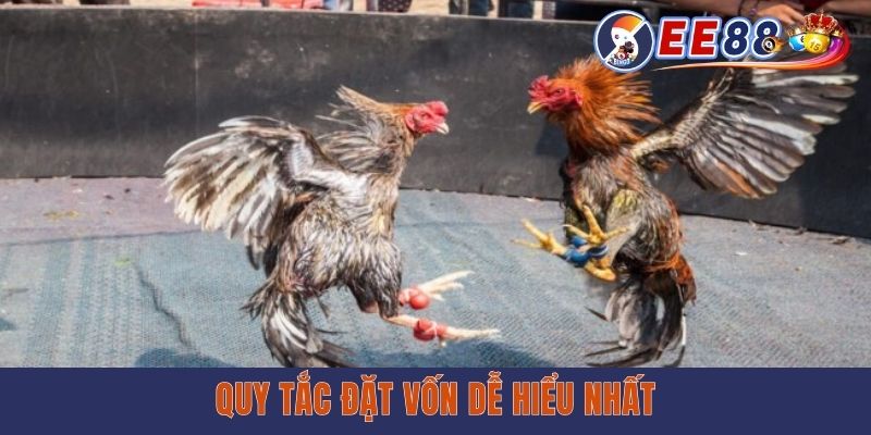 Trực Tiếp Đá Gà Philippines - Xem Miễn Phí Cùng EE88 Quy tắc đặt vốn dễ hiểu nhất